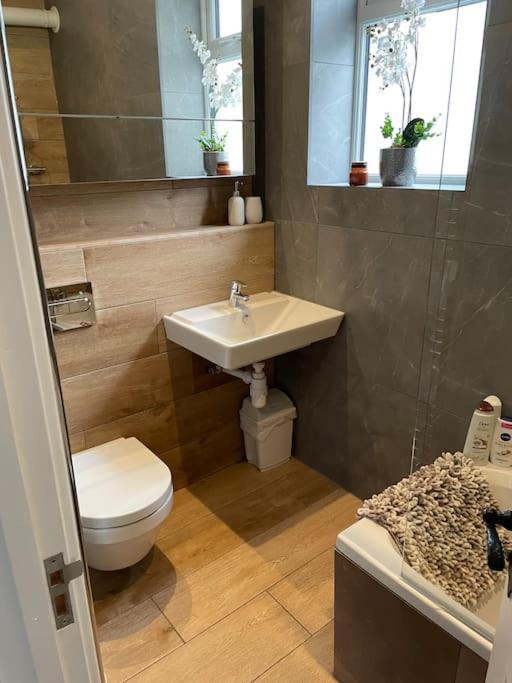 Graftonbury Court, Grafton Lane, Hereford, Hr2 8Fa المظهر الخارجي الصورة